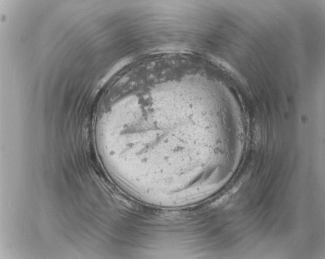 X0000061741162200512302204