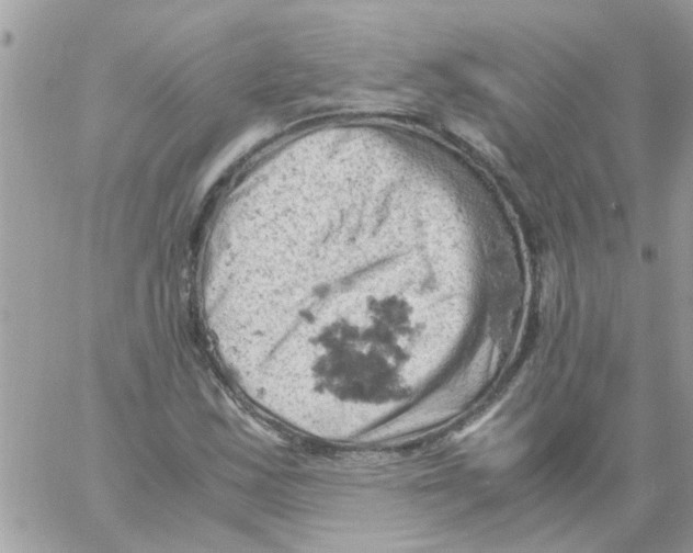 X0000061741163200512302204