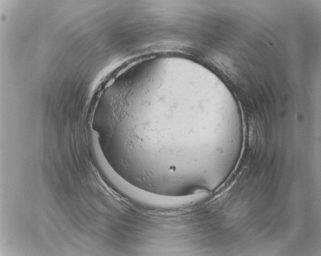 X0000061741164200512302204