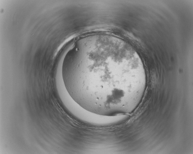 X0000061741166200512302204