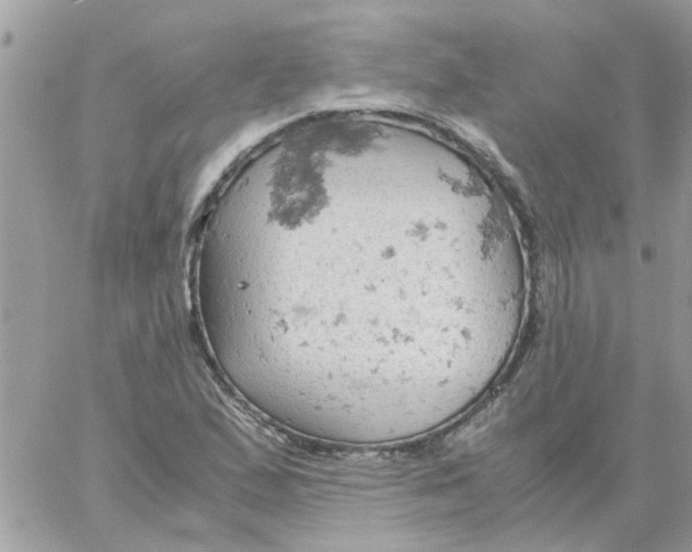 X0000061741167200512302204