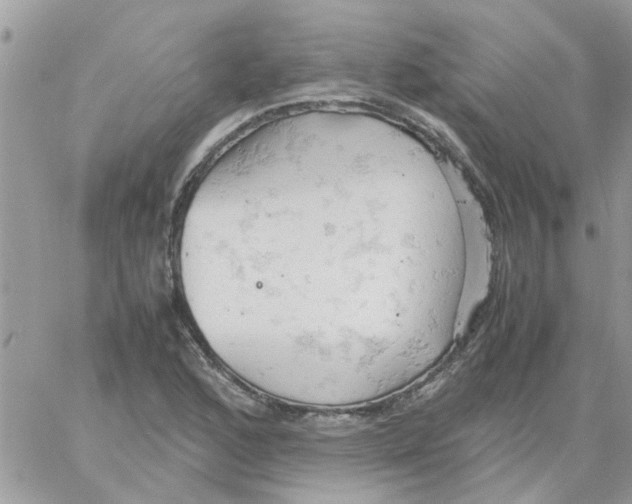 X0000061741168200512302204