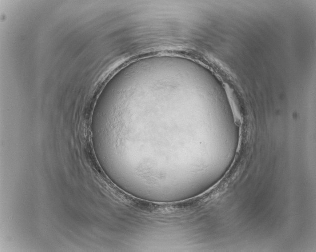 X0000061741169200512302204