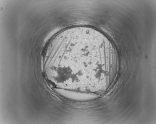 X0000061741171200512302204