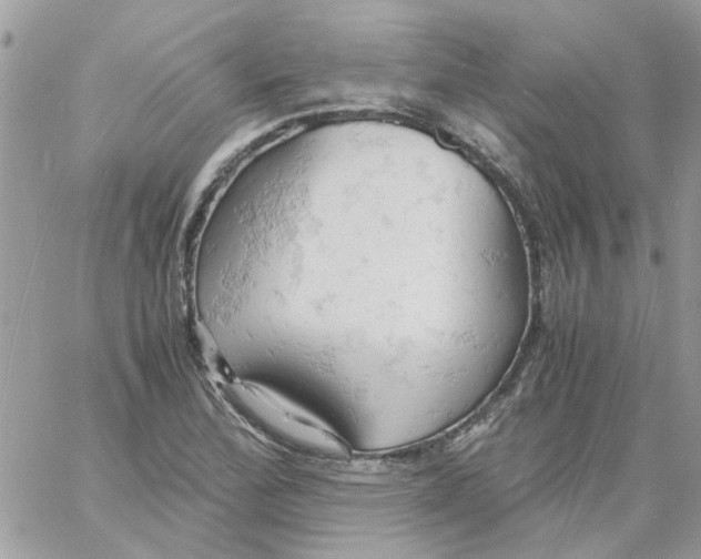 X0000061741172200512302204