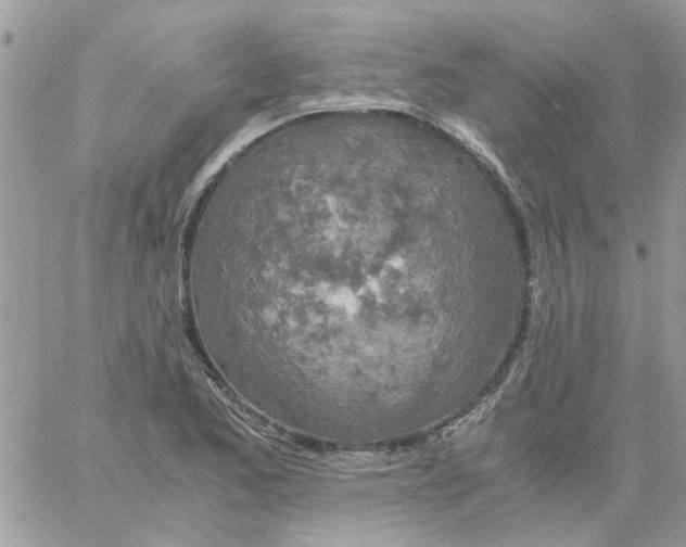 X0000061741173200512302204