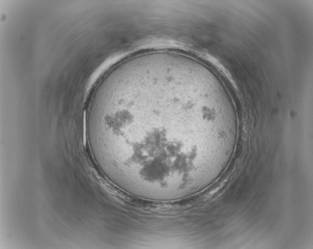 X0000061741175200512302204