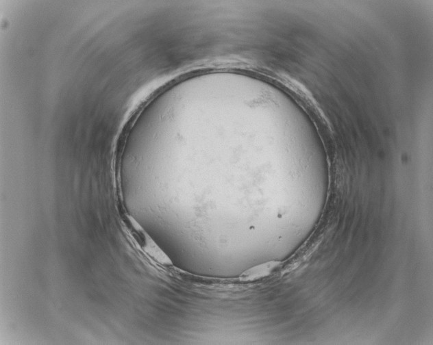 X0000061741176200512302204