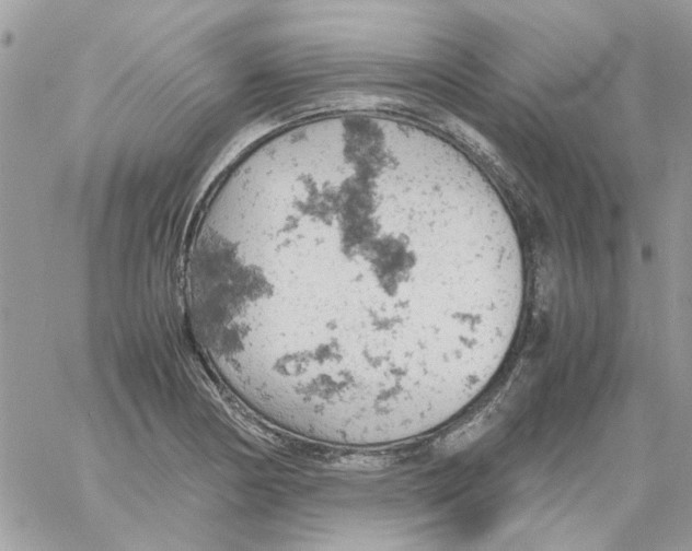 X0000061741178200512302204