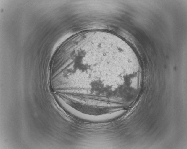 X0000061741179200512302204