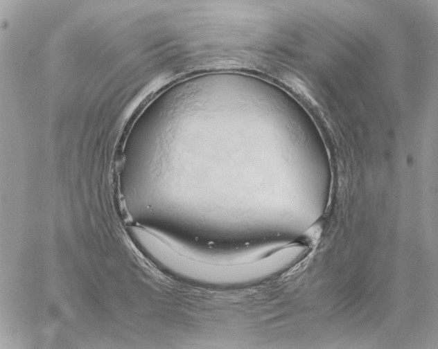 X0000061741181200512302204