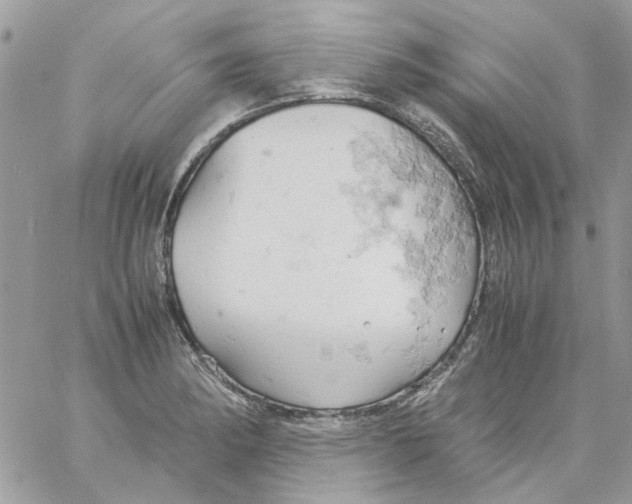 X0000061741182200512302204