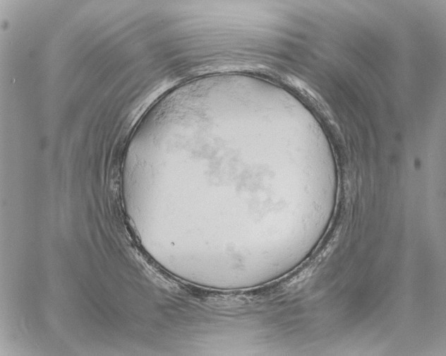 X0000061741185200512302204