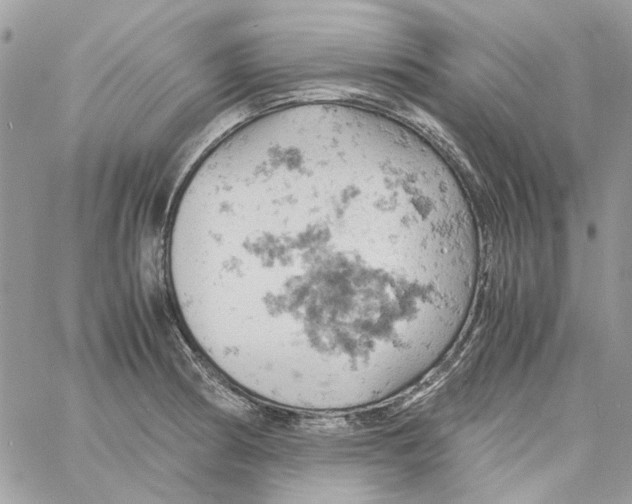 X0000061741186200512302204