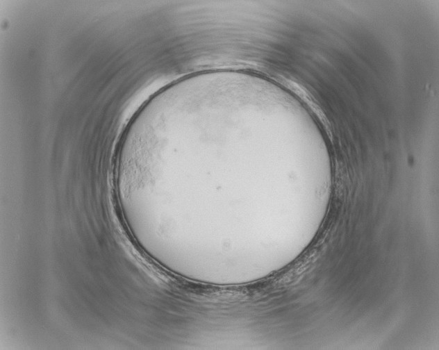 X0000061741187200512302203