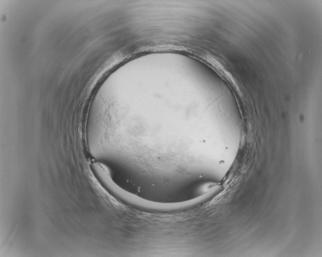 X0000061741189200512302203