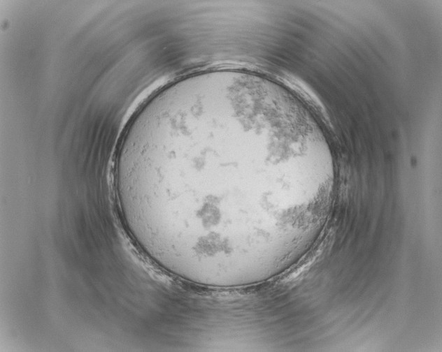 X0000061741190200512302203