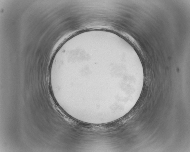 X0000061741191200512302203