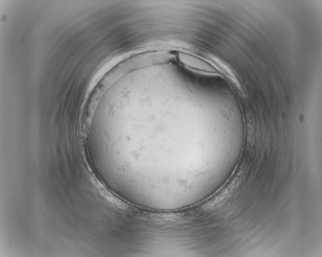 X0000061741192200512302203