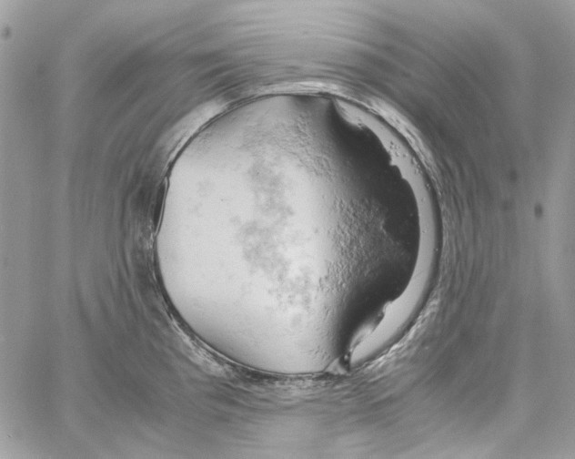 X0000061741193200512302203