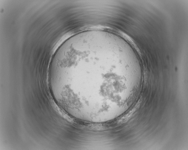 X0000061741194200512302203