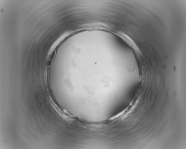 X0000061741196200512302203