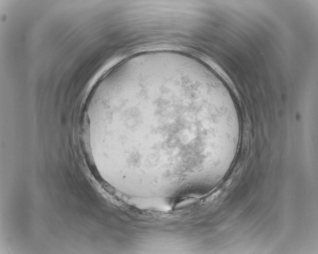 X0000061741197200512302203