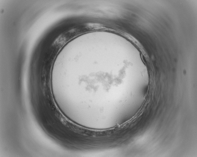 X0000061741199200512302203