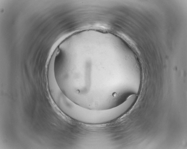 X0000061741200200512302203