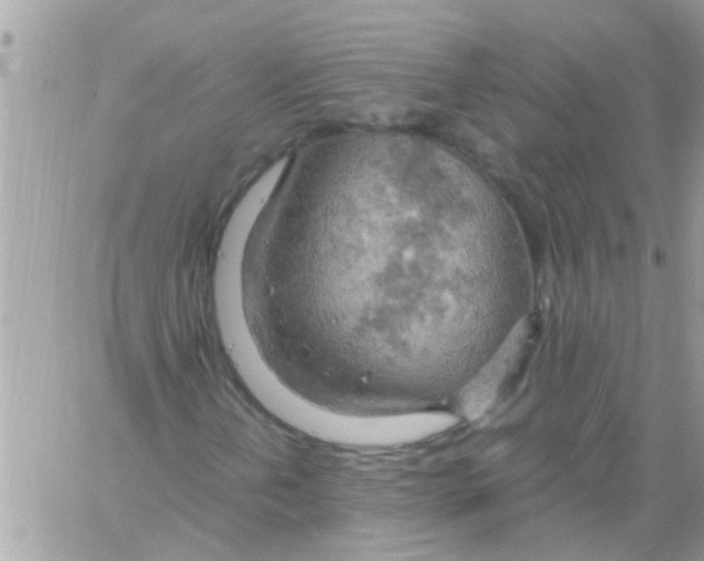 X0000061741202200512302202