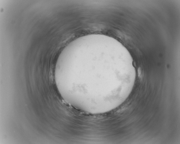 X0000061741203200512302202