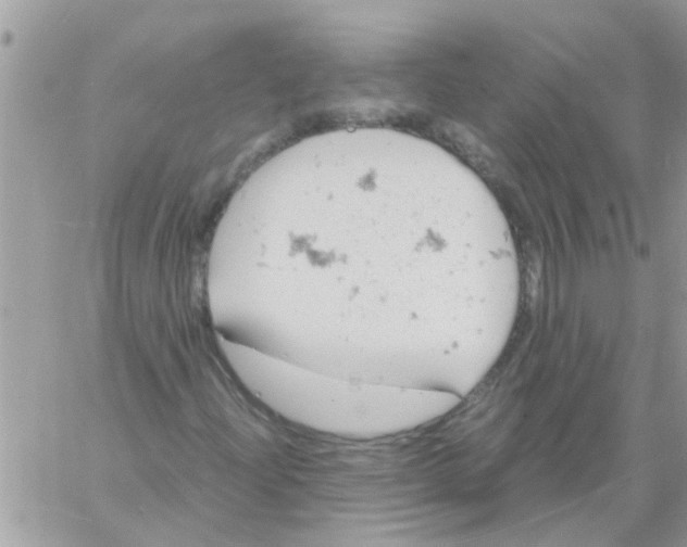 X0000061741204200512302203