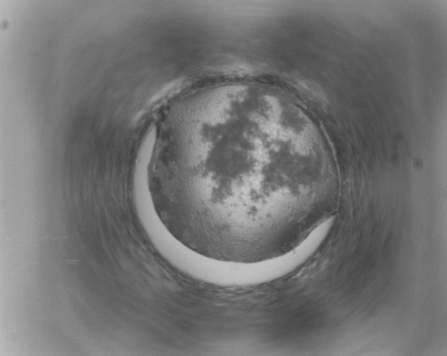 X0000061741205200512302203