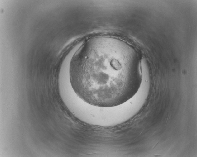 X0000061741206200512302203