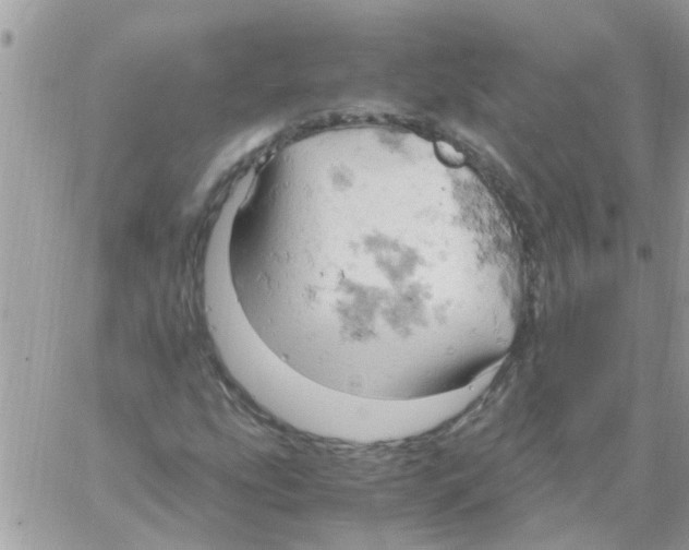 X0000061741207200512302203