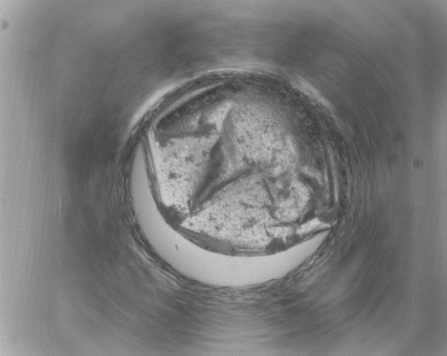 X0000061741208200512302203