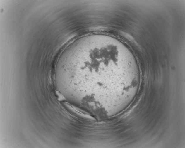 X0000061741209200512302203