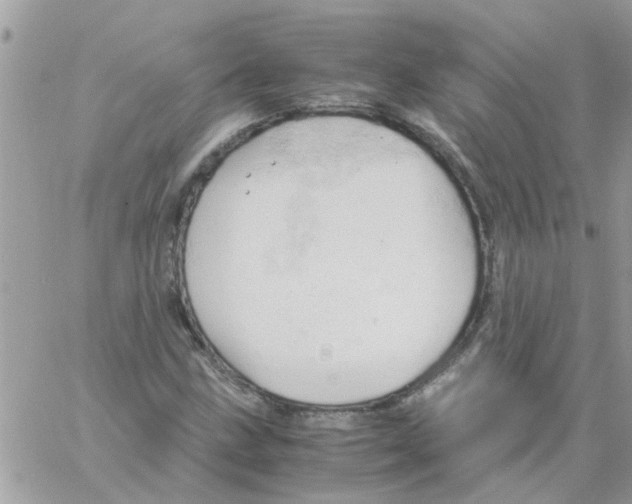 X0000061741211200512302203