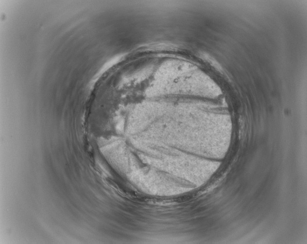 X0000061741213200512302203