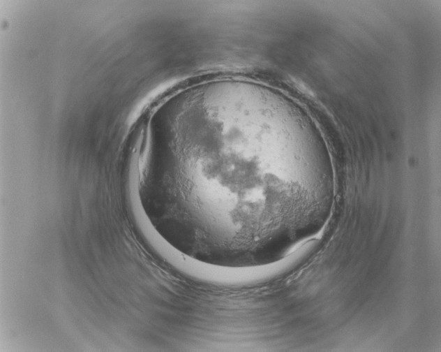 X0000061741214200512302203