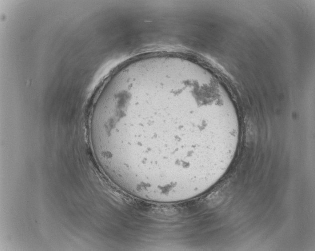 X0000061741215200512302203