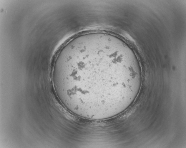 X0000061741216200512302203