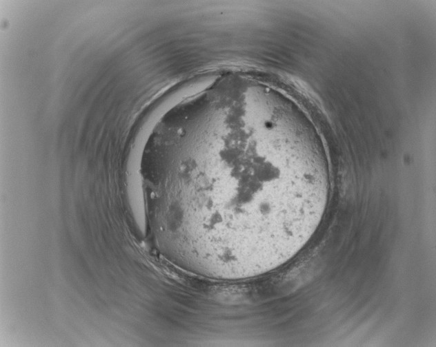 X0000061741217200512302203