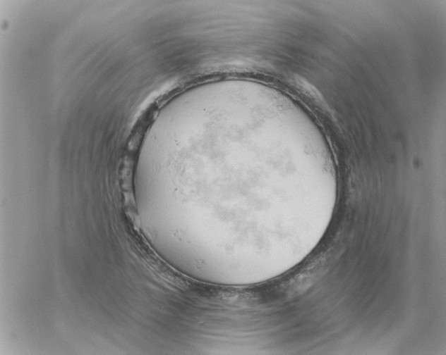 X0000061741218200512302203