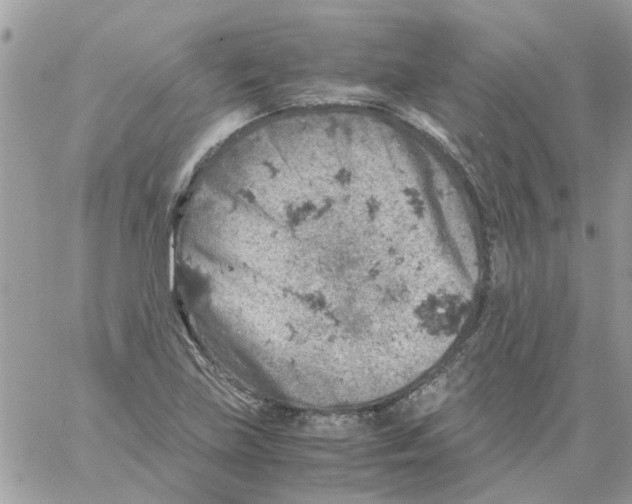 X0000061741219200512302203