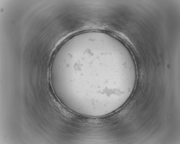 X0000061741220200512302203