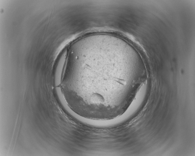 X0000061741221200512302203