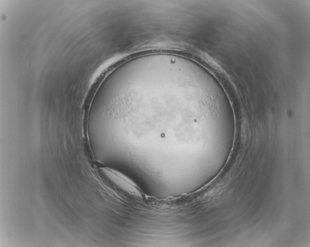 X0000061741222200512302203