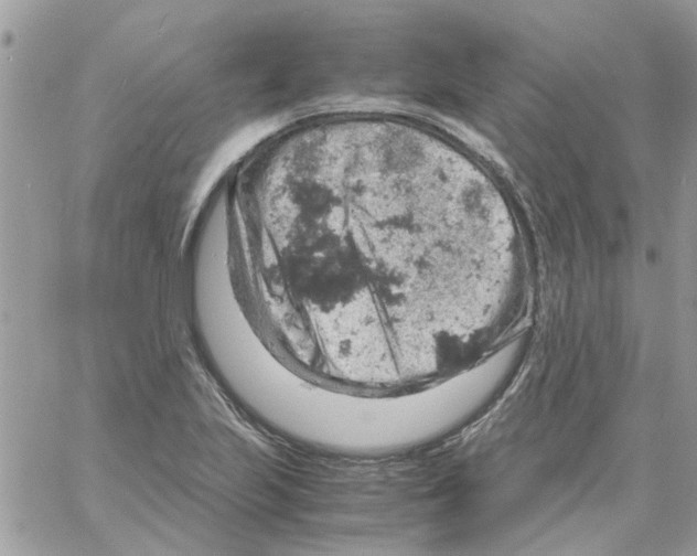 X0000061741223200512302203