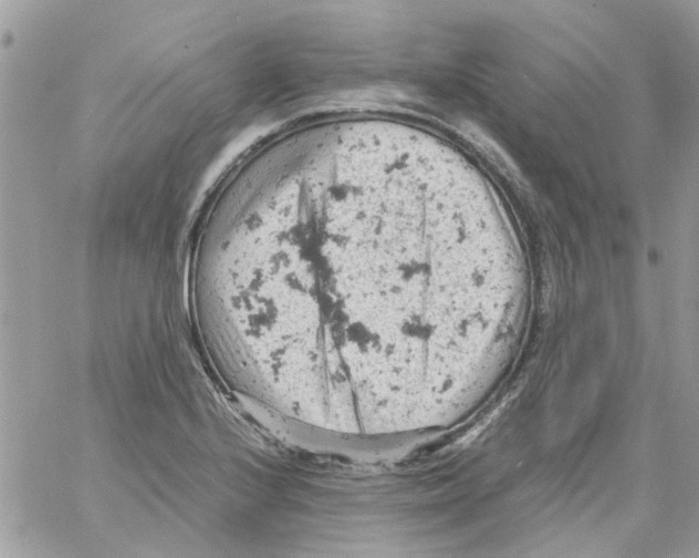 X0000061741224200512302203